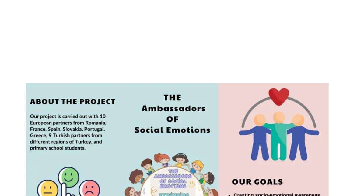 The Ambassadors Of Social Emotions”